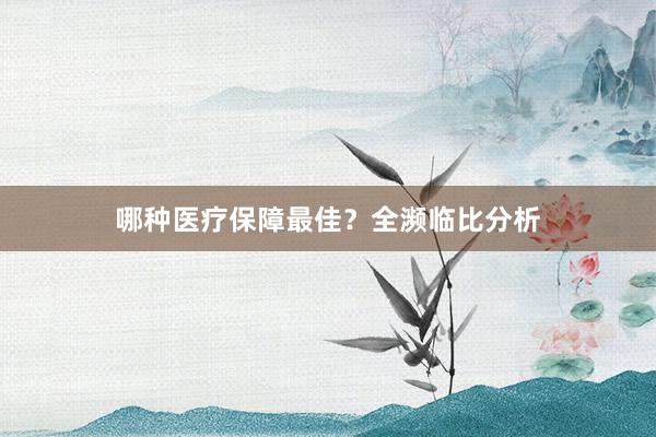 哪种医疗保障最佳？全濒临比分析