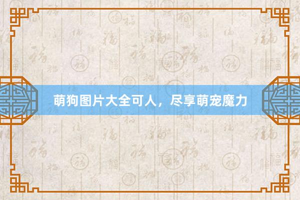 萌狗图片大全可人，尽享萌宠魔力