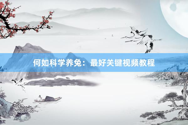 何如科学养兔:最好关键视频教程