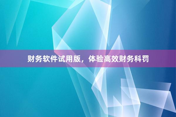 财务软件试用版，体验高效财务科罚