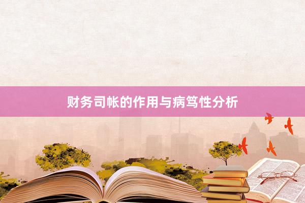 财务司帐的作用与病笃性分析