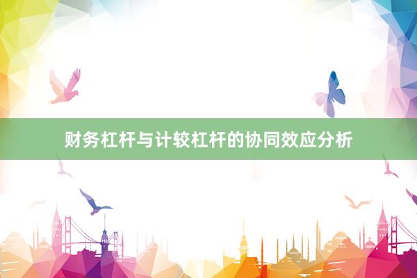 财务杠杆与计较杠杆的协同效应分析